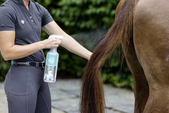 MAGIC BRUSH Fellglanzspray ManeCare